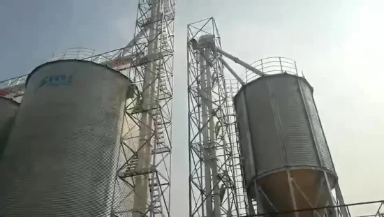Sistema di caricamento dell'elevatore per cereali personalizzato per elevatore a tazze in Cina Shelley